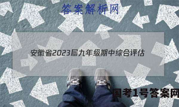 安徽省2023届九年级期中综合评估(2L)历史试题 答案