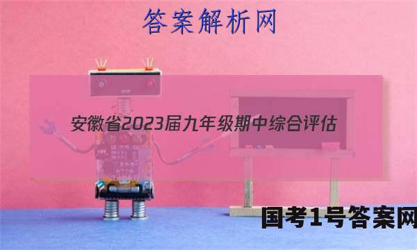 安徽省2023届九年级期中综合评估(2L)化学答案