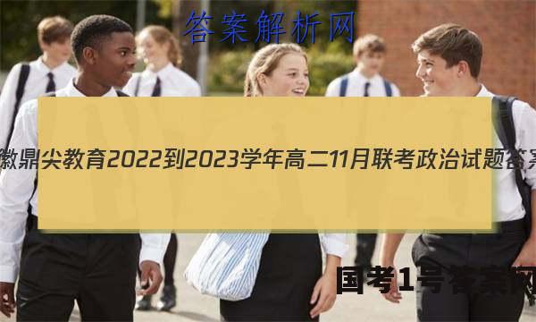 安徽鼎尖教育2022-2023学年高二11月联考政治试题答案
