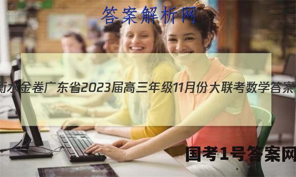 衡水金卷 广东省2023届高三年级11月份大联考数学答案