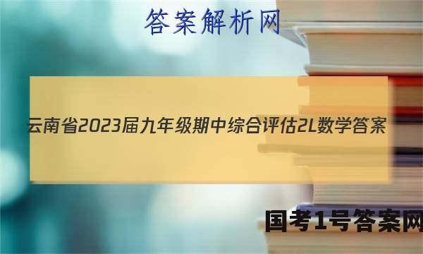 云南省2023届九年级期中综合评估[2L]数学答案