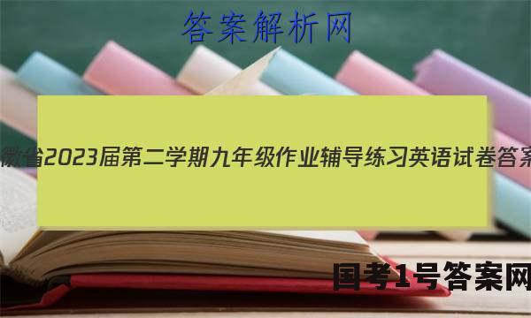 安徽省2023届第二学期九年级作业辅导练习英语试卷 答案(更新中)