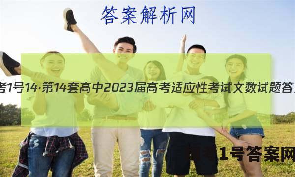 国考1号14·第14套高中2023届高考适应性考试文数试题 答案
